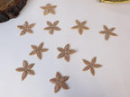 Rose Gold Star Applique Patches: Beaded Indian Embroidery (5cm, 10 Pc)