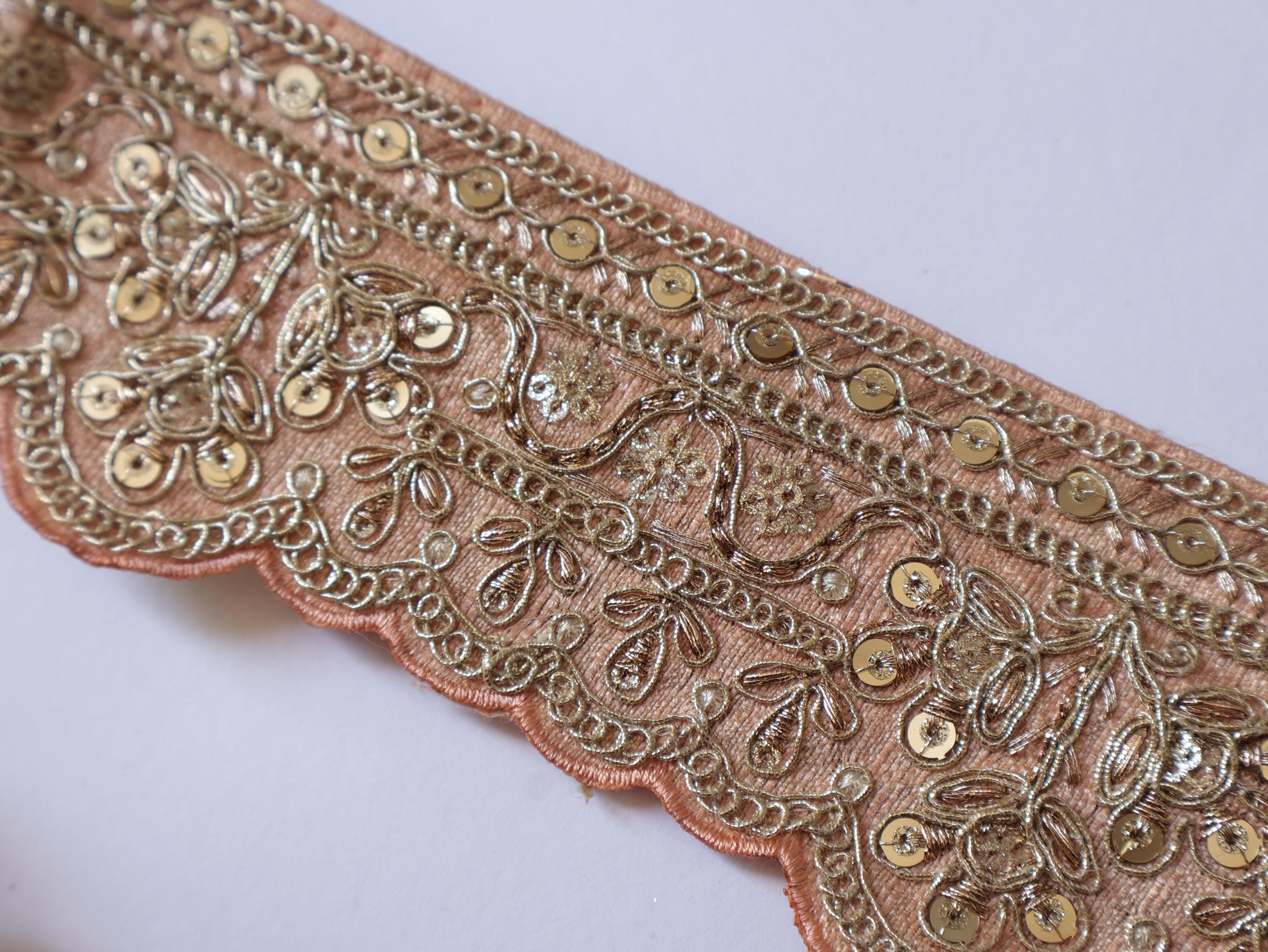 Skin Color Zari Embroidered Lace Trim: Indian Sari Border - 9 yards