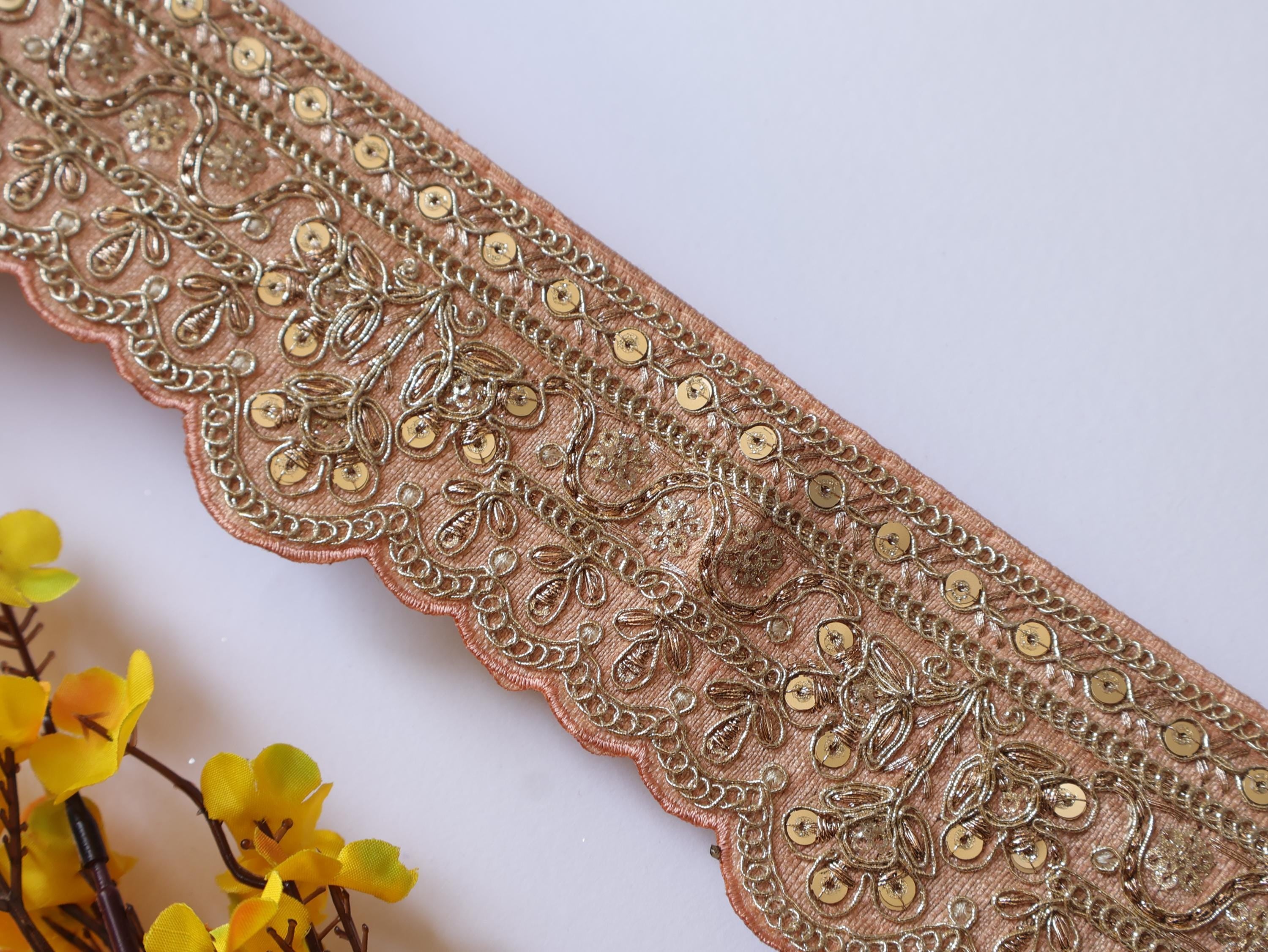 Skin Color Zari Embroidered Lace Trim: Indian Sari Border - 9 yards