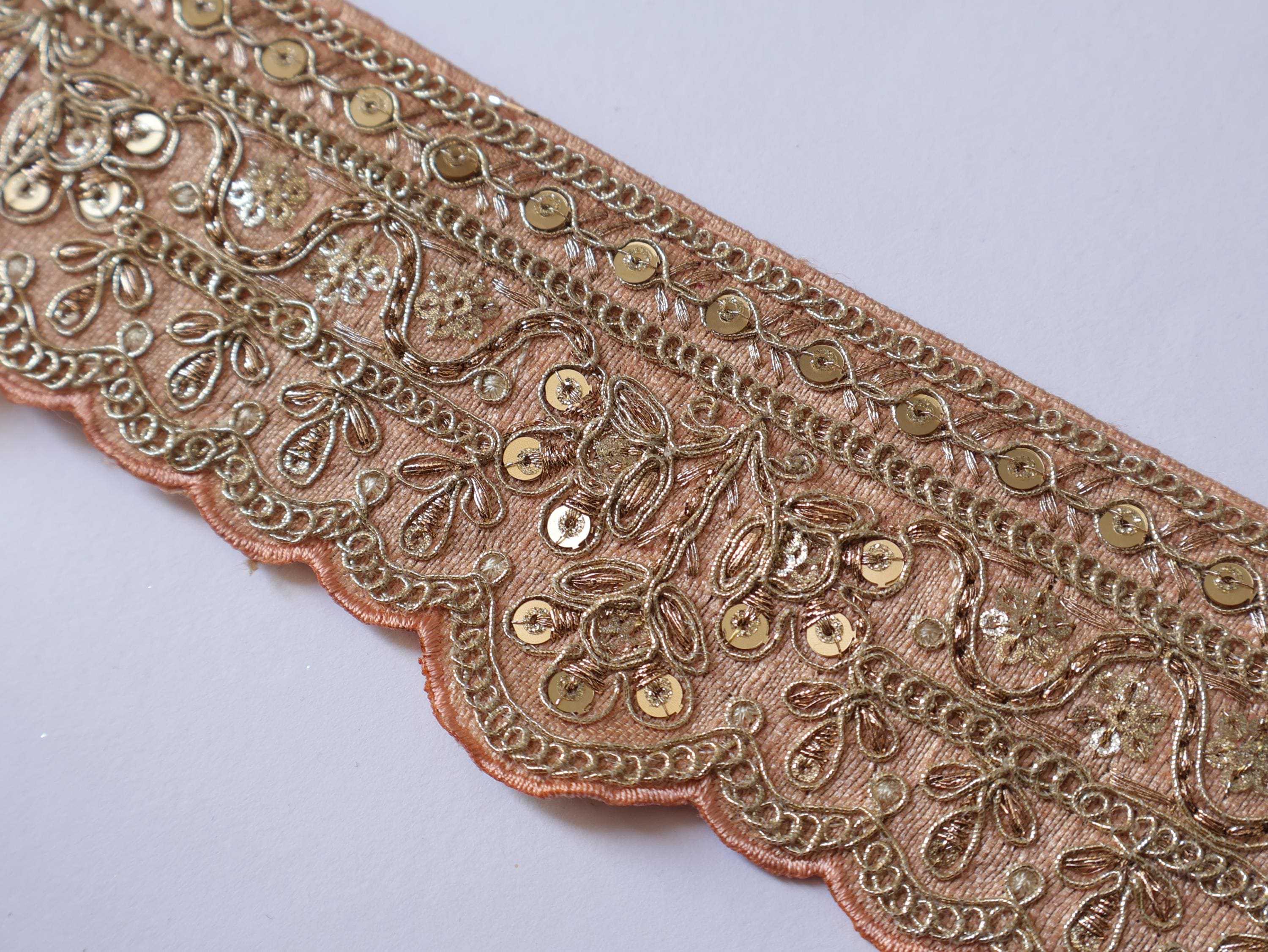 Skin Color Zari Embroidered Lace Trim: Indian Sari Border - 9 yards
